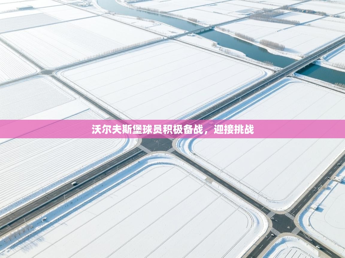 沃尔夫斯堡球员积极备战,迎接挑战 第1张
