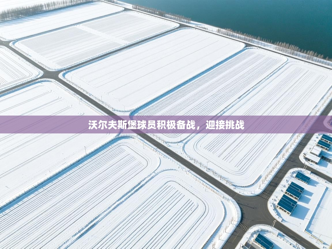 沃尔夫斯堡球员积极备战,迎接挑战 第2张