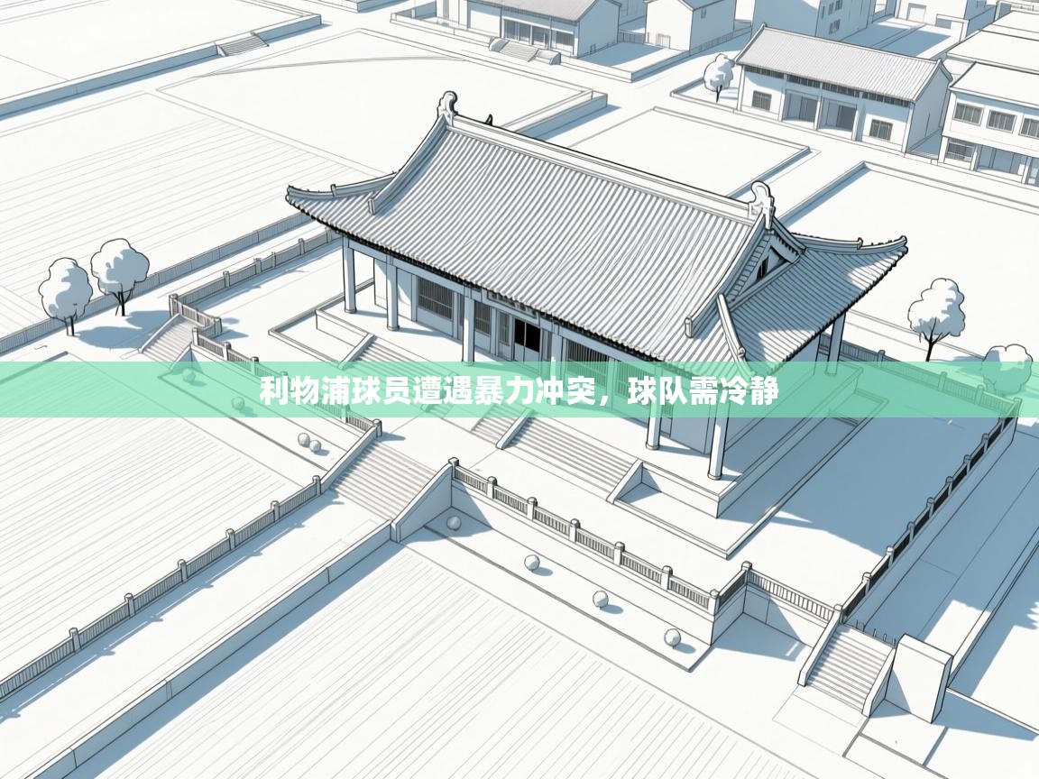 利物浦球员遭遇暴力冲突，球队需冷静  第2张