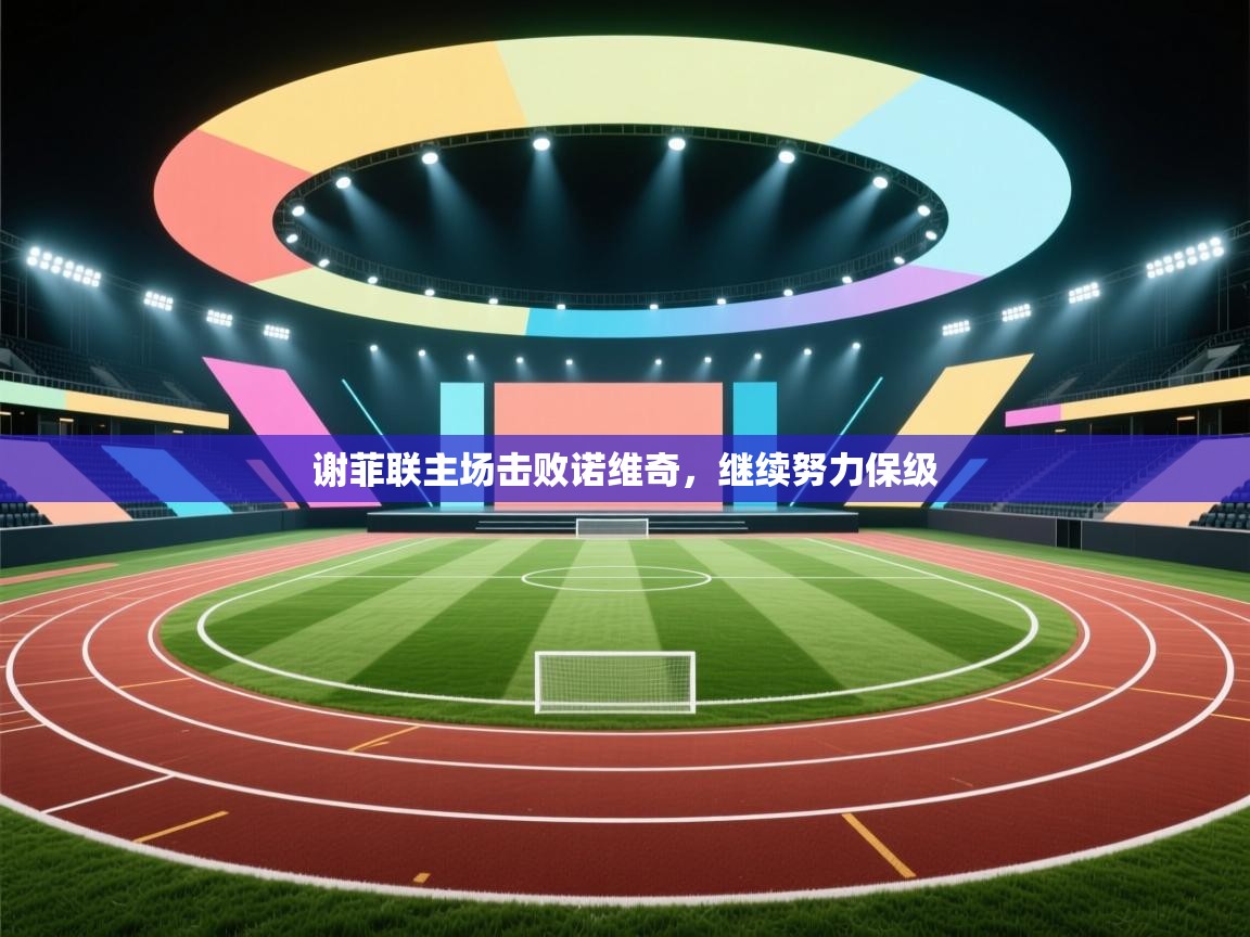 谢菲联主场击败诺维奇，继续努力保级  第1张