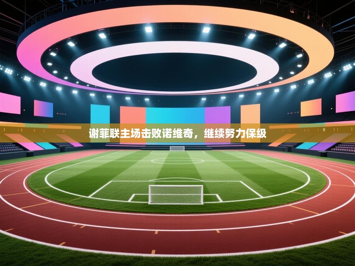 谢菲联主场击败诺维奇，继续努力保级  第2张