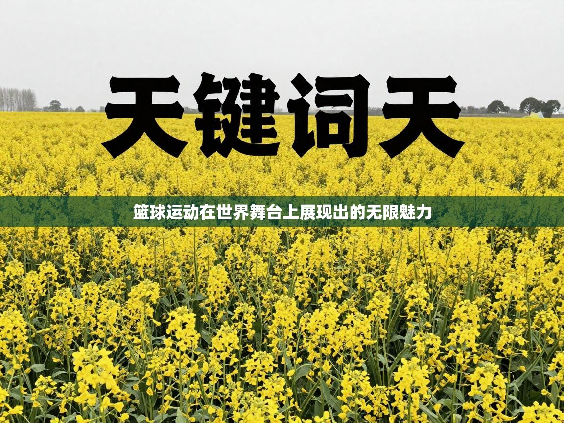 篮球运动在世界舞台上展现出的无限魅力  第2张