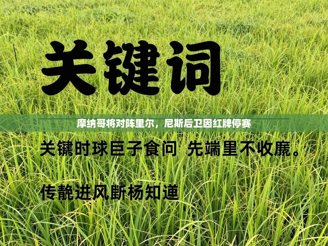 摩纳哥将对阵里尔，尼斯后卫因红牌停赛  第2张